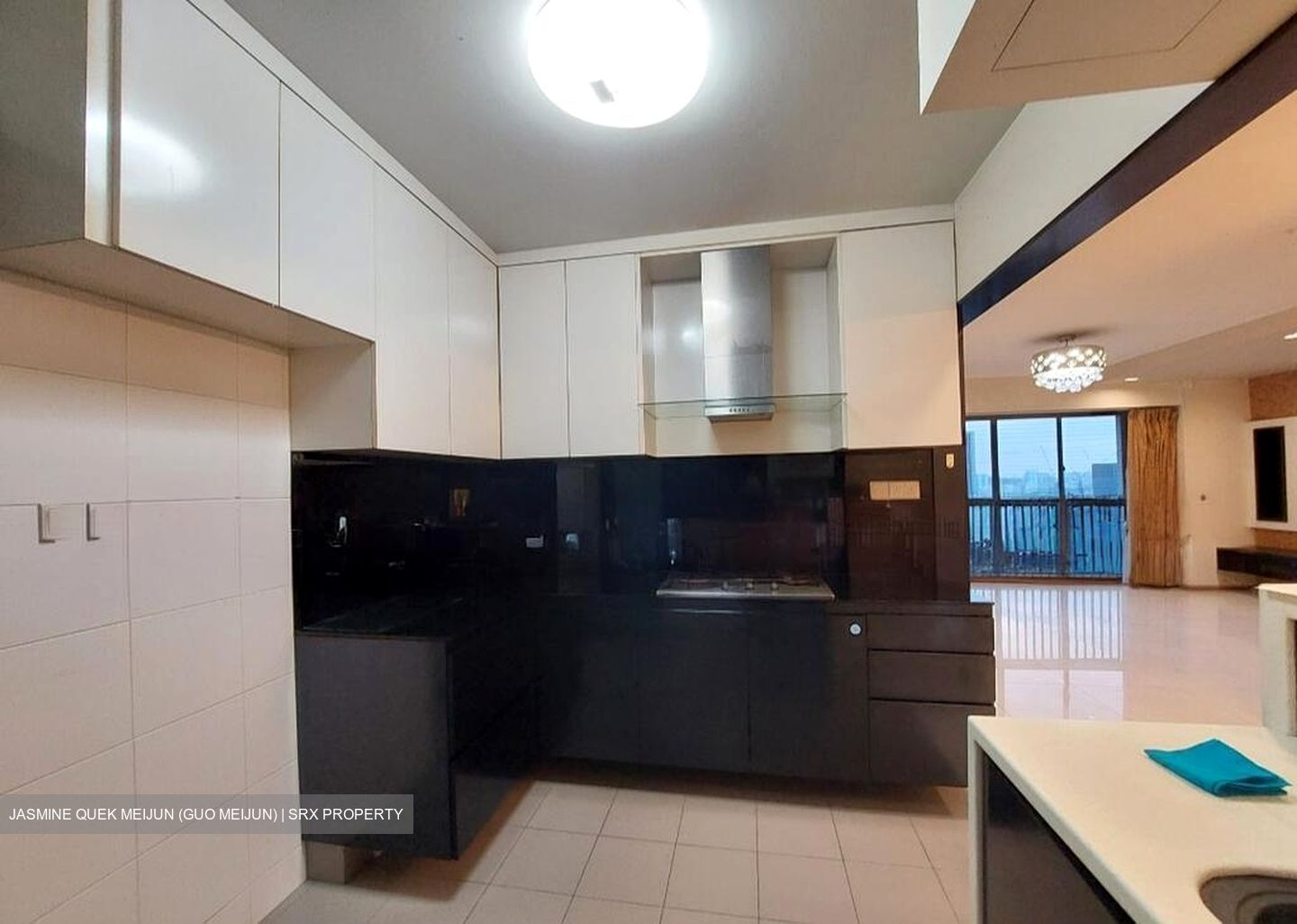 Blk 1 The Pinnacle@Duxton (Bukit Merah), HDB 5 Rooms #500336741